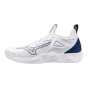 Mizuno Wave Momentum 3